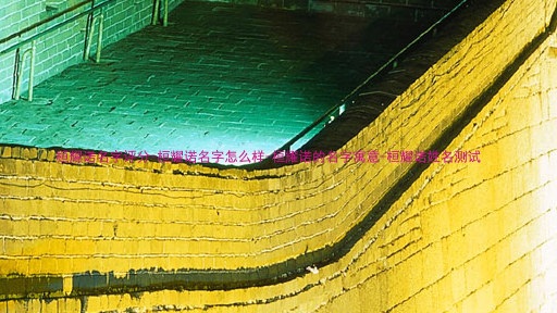 桓耀诺名字评分-桓耀诺名字怎么样-桓耀诺的名字寓意-桓耀诺姓名测试