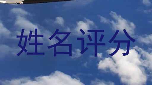 诸葛瑞鹏