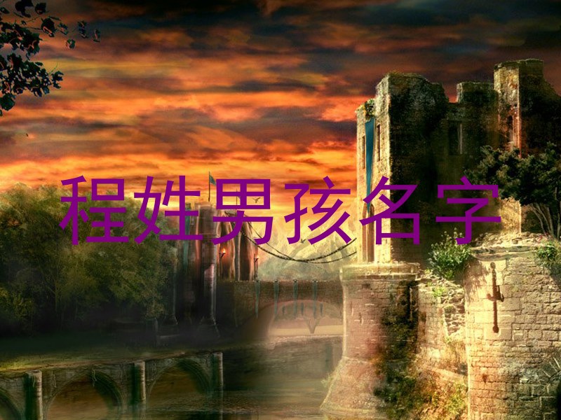 程姓男孩名字