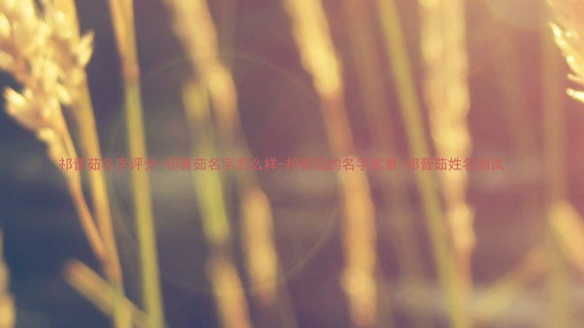 祁晋茹