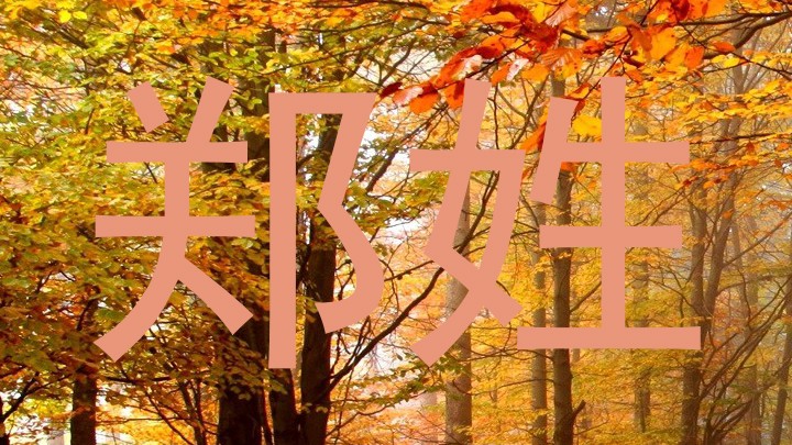 郑姓