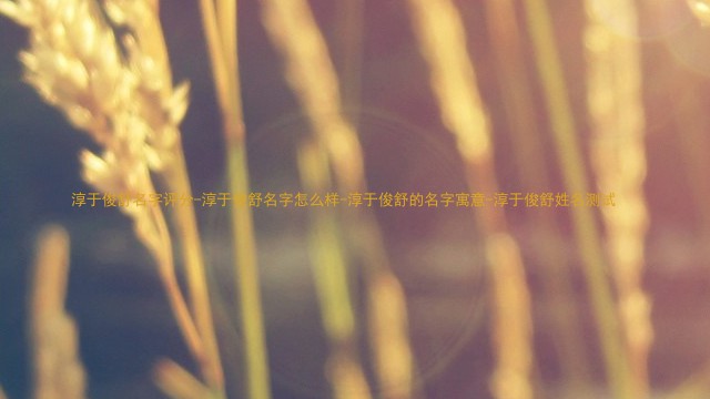 淳于俊舒名字评分-淳于俊舒名字怎么样-淳于俊舒的名字寓意-淳于俊舒姓名测试