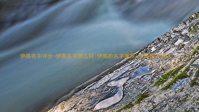 伊高名字评分-伊高名字怎么样-伊高的名字寓意-伊高姓名测试