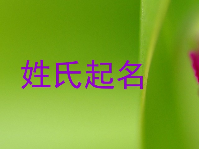 姓氏起名