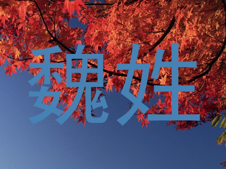 魏姓