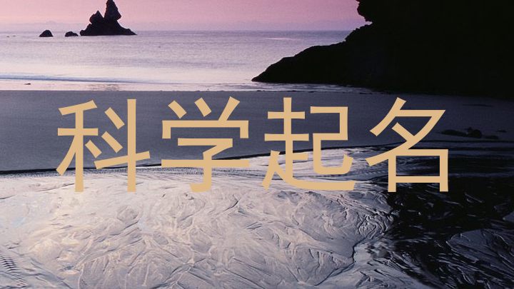 科学起名
