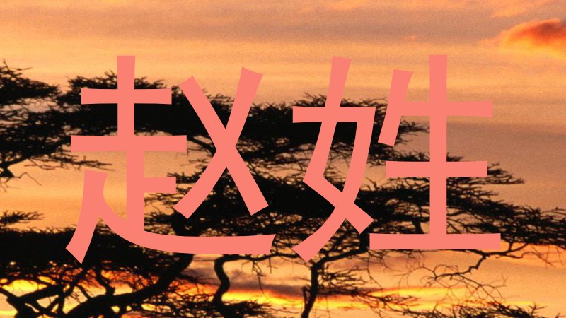 赵姓