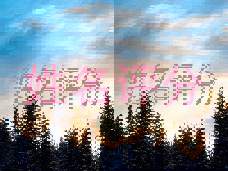 鞠世湛