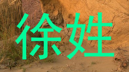 徐姓