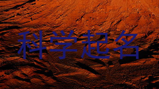 科学起名