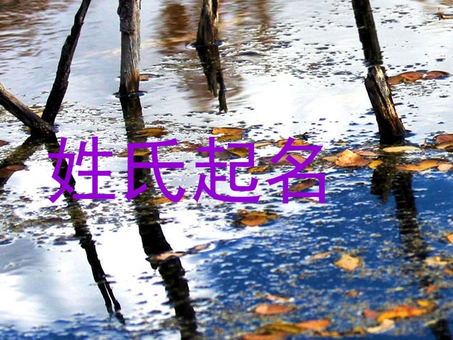 姓氏起名