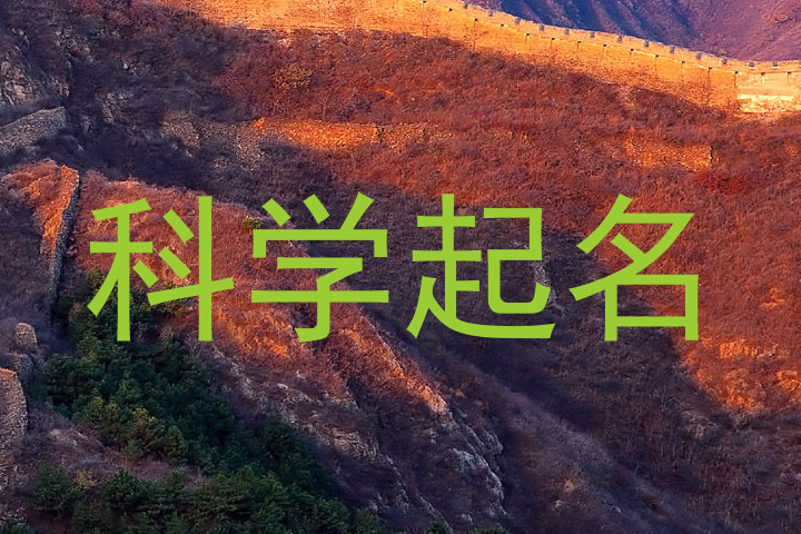 科学起名