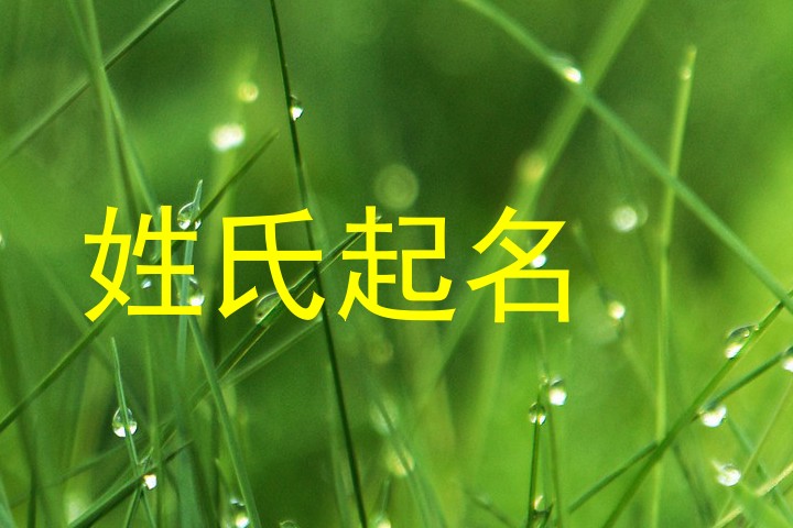 姓氏起名