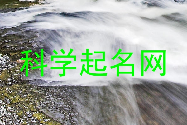 科学起名网