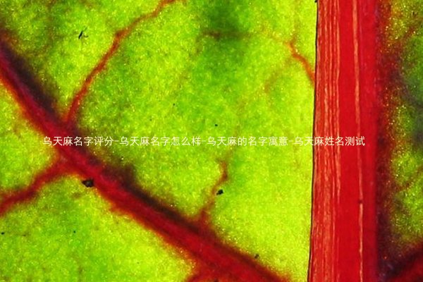 乌天麻名字评分-乌天麻名字怎么样-乌天麻的名字寓意-乌天麻姓名测试