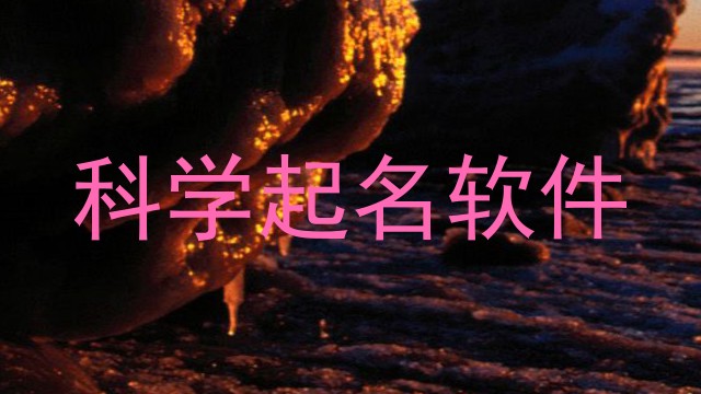 科学起名软件