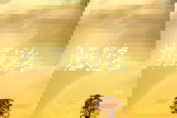 姓氏起名