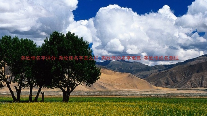 尧欣佳名字评分-尧欣佳名字怎么样-尧欣佳的名字寓意-尧欣佳姓名测试