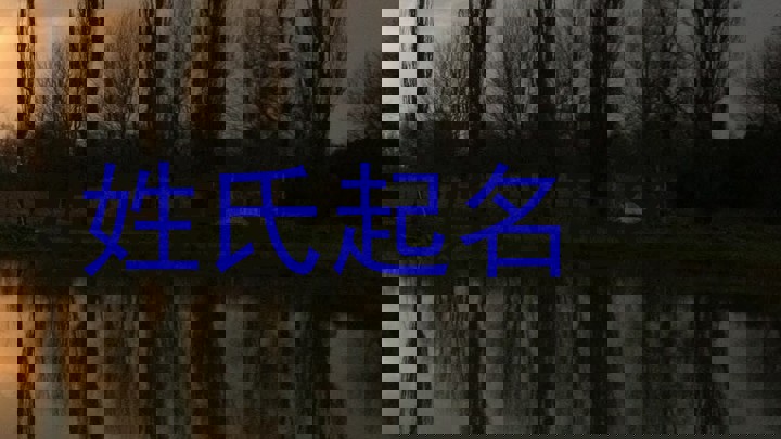 姓氏起名