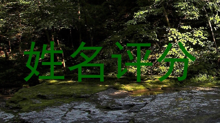 姓名评分