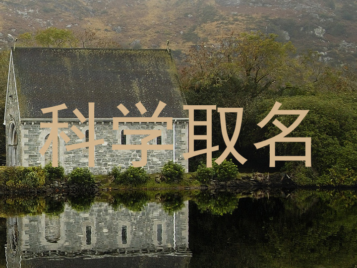 科学取名