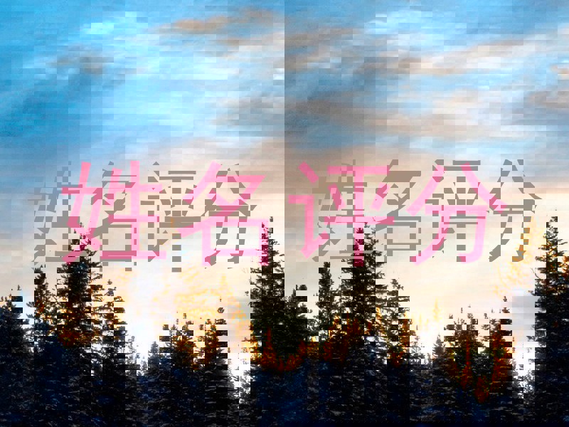 游了