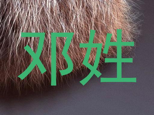 邓姓