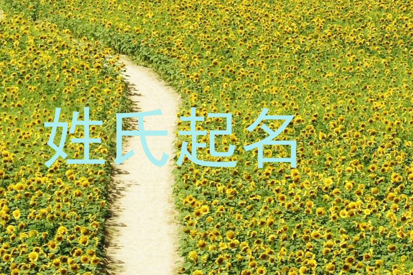 杨姓