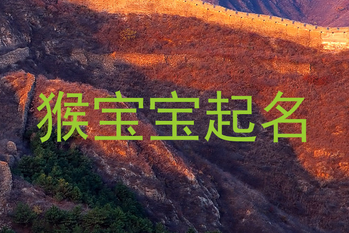 猴宝宝起名