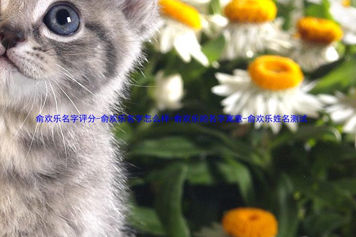 俞欢乐