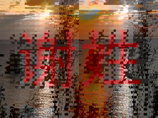 谢姓