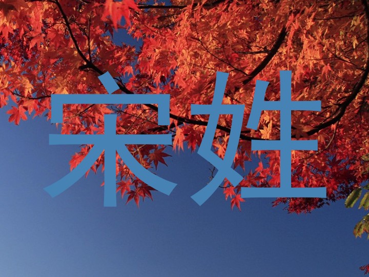 宋姓
