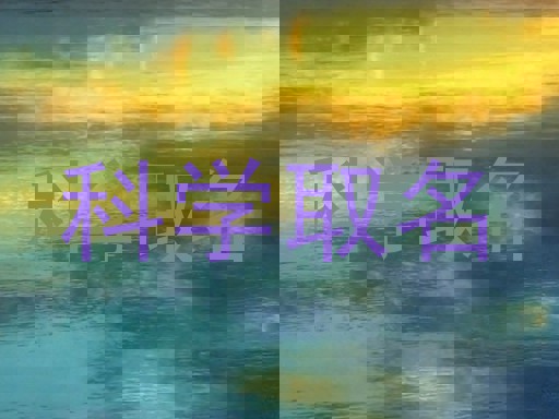科学取名