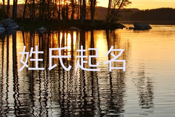 兔宝宝