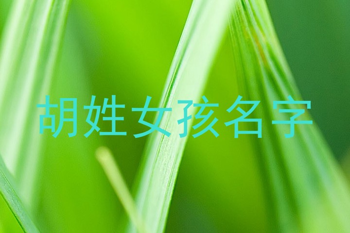 胡姓女孩名字