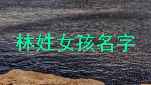 林姓女孩名字