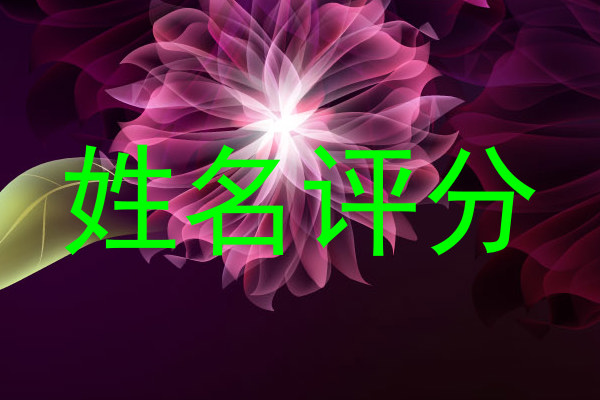 姓名评分
