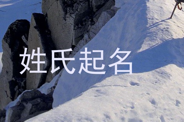 姓氏起名