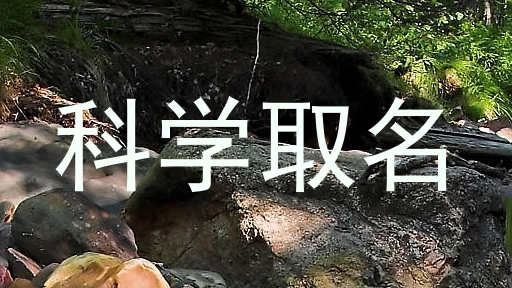 科学取名