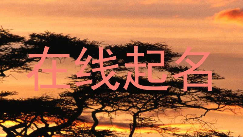 在线起名