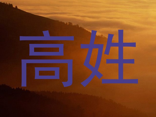 高姓