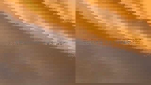 宇若兰名字评分-宇若兰名字怎么样-宇若兰的名字寓意-宇若兰姓名测试