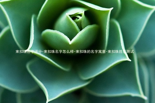 束扣珠名字评分-束扣珠名字怎么样-束扣珠的名字寓意-束扣珠姓名测试