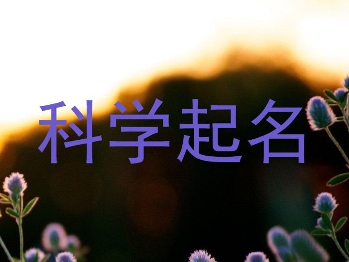 科学起名