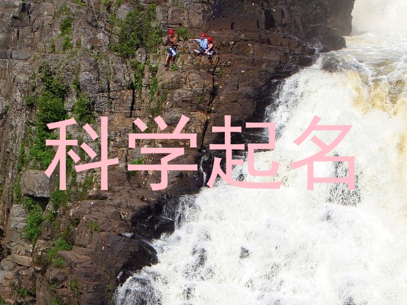 科学起名