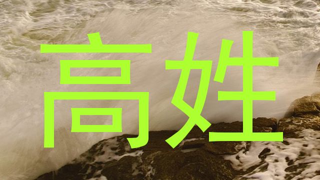 高姓