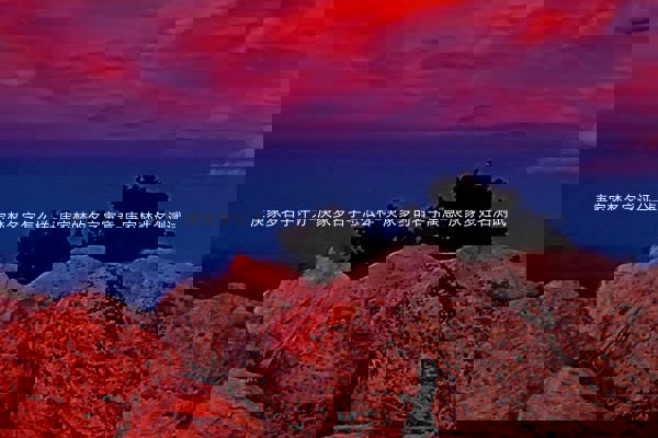 庚家梦