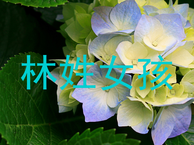 林姓女孩