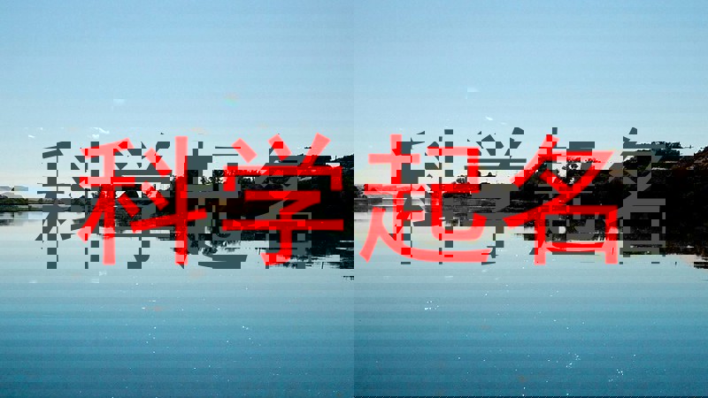 科学起名