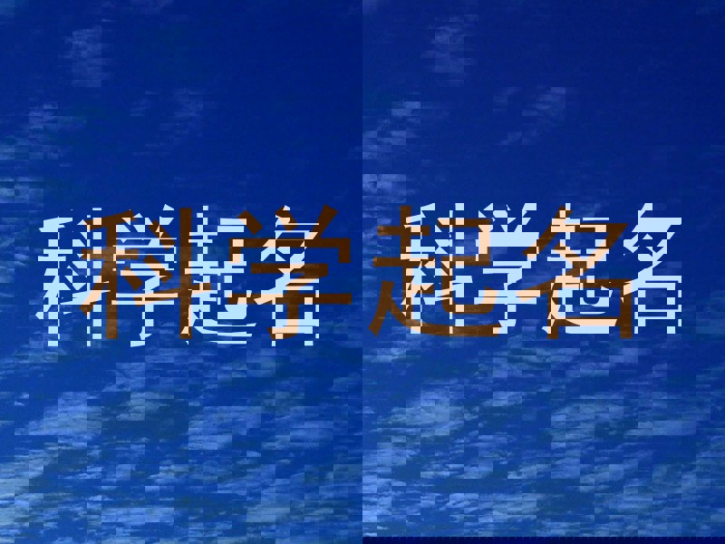 科学起名